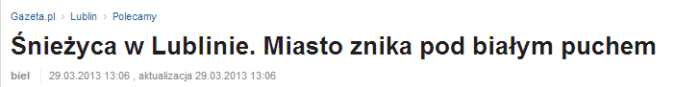 Śnieżyca w Lublinie. Miasto znika pod białym puchem   zdjęcie t