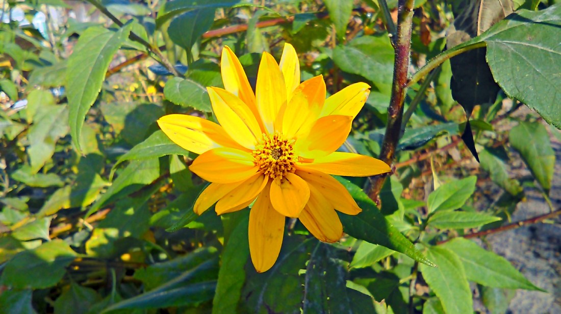 2014-10-05_09-08-36_HDR