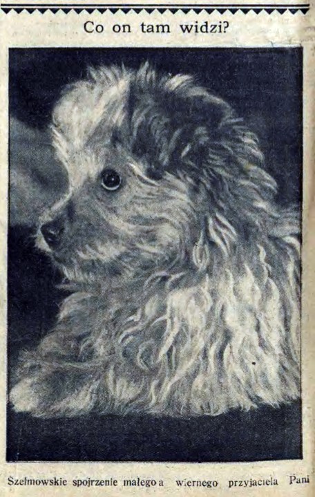 czas13916_1_1931_54_0004