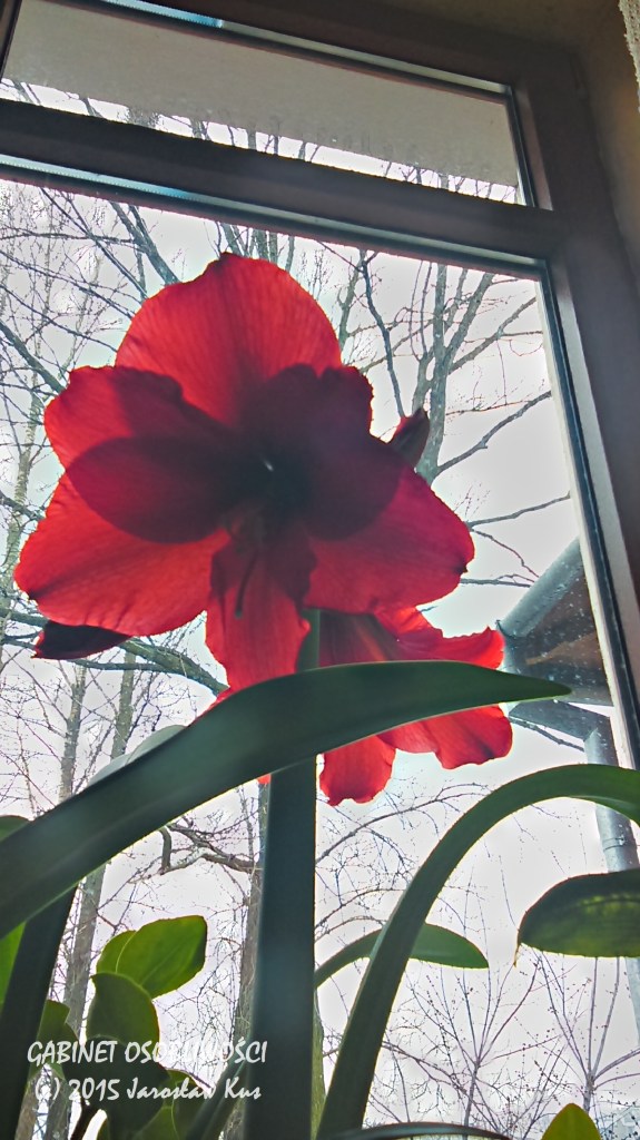 2015-04-03_08-57-39_HDR