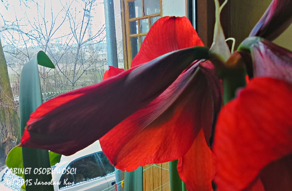 2015-04-03_08-58-25_HDR