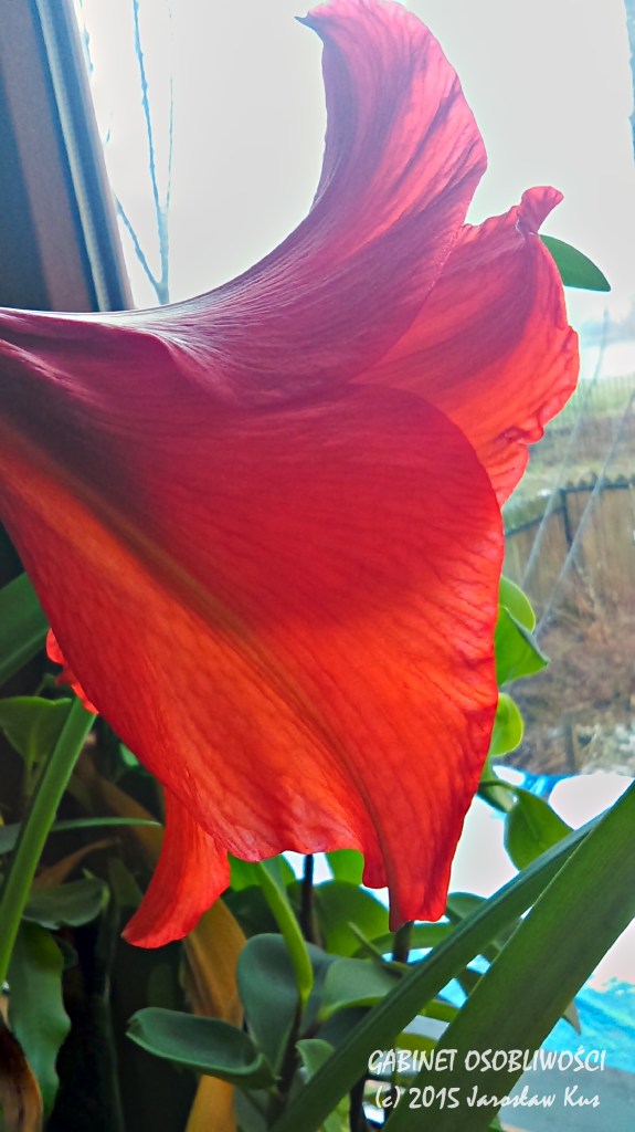 2015-04-03_08-59-09_HDR