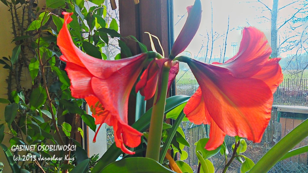 2015-04-03_16-02-38_HDR