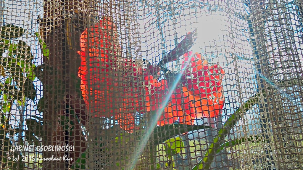 2015-04-04_16-39-29_HDR