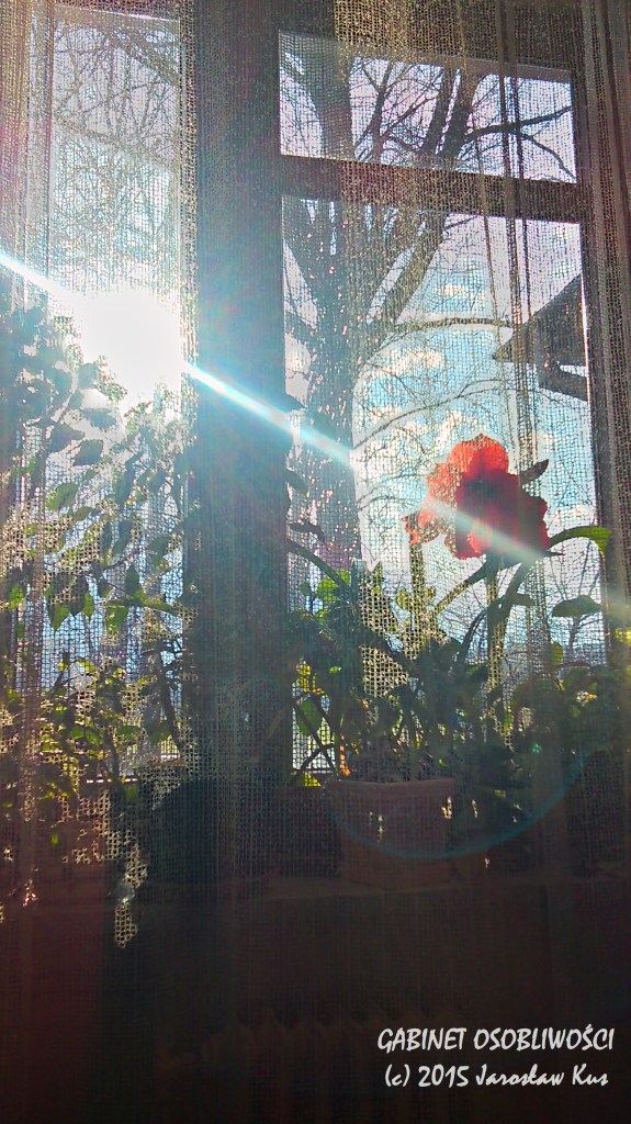 2015-04-04_16-42-00_HDR