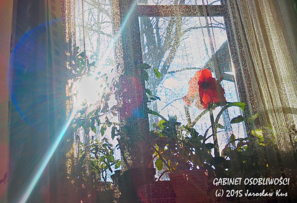 2015-04-04_16-42-25_HDR