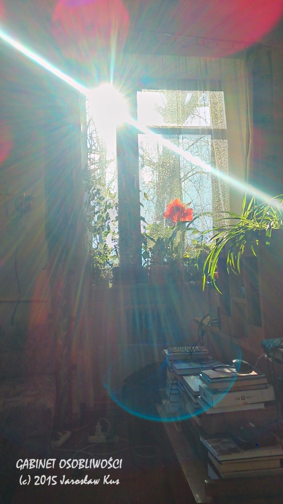 2015-04-04_16-52-54_HDR