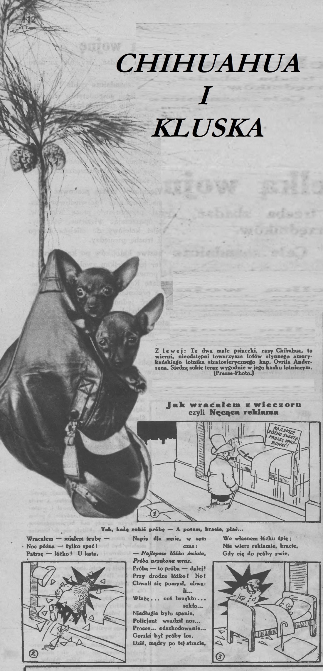 Przewodnik Katolicki 1936, nr 7. Wielkopolska Biblioteka Cyfrowa.